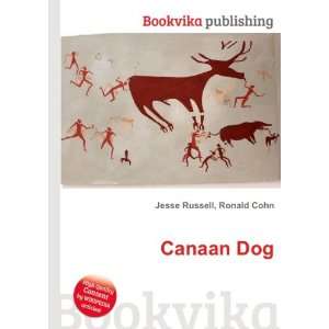 Canaan Dog [Paperback]