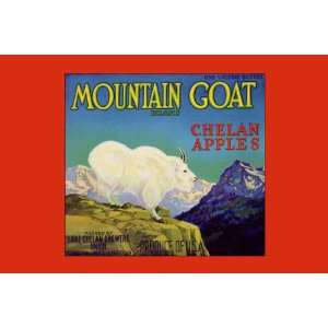 Mountain Goat Chelan Apples 20x30 poster