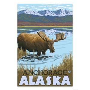  Moose Drinking at Lake, Anchorage, Alaska Giclee Poster 
