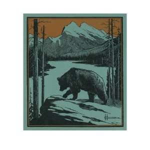  Nature Magazine   View of a Bear by a Cliff, Mountain and 