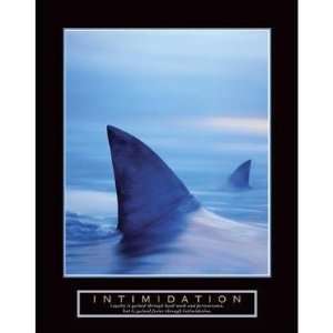  Intimidation   Sharks Poster Print