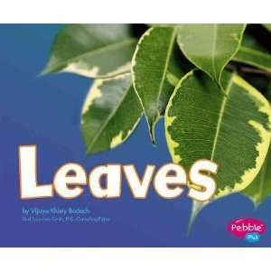  Leaves Vijaya Khisty Bodach Books