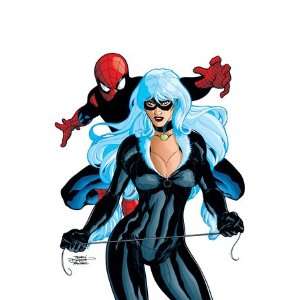  Spider Man And The Black Cat #6 Cover Spider Man and Black Cat 