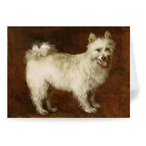  Spitz Dog, c.1760 70 (oil on canvas) by Thomas Gainsborough 