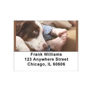 English Setter Address Labels