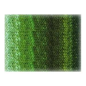    Noro Karuta Greens Chunky Variegated Yarn 4 Arts, Crafts & Sewing