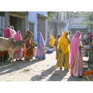  Typical Coloured Rajasthani Saris, Pushkar, Rajasthan 