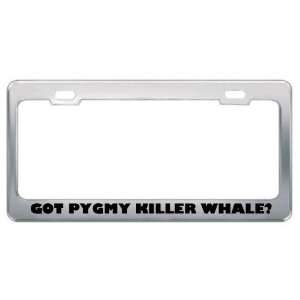 Got Pygmy Killer Whale? Animals Pets Metal License Plate Frame Holder 