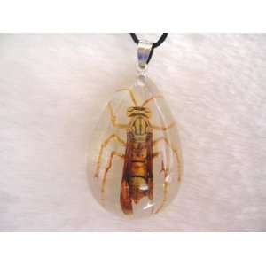  Real Bugs Necklaces With Yellow Jacket Pendant Everything 
