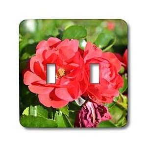 Patricia Sanders Flowers   Summer Red Roses Floral II   Light Switch 