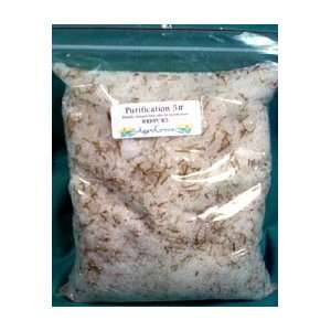  Purification Bath Salts (5 lb) 
