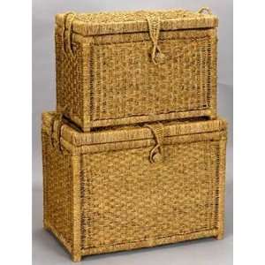 Seagrass Storage Chests by Household Essentials   Set of 2  