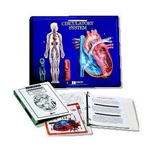 Circulatory System Study Plaque  Industrial & Scientific