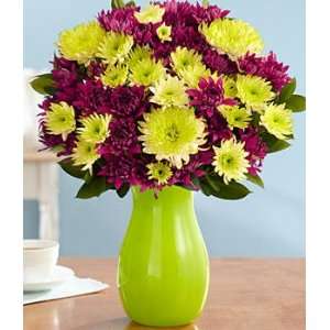 Beautiful Blooms for Mom  Grocery & Gourmet Food