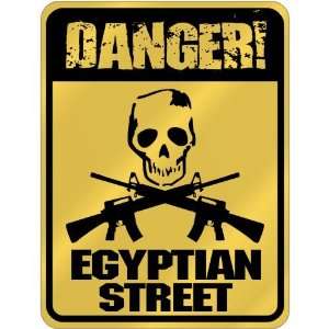  New  Danger  Egyptian Street  Egypt Parking Sign 