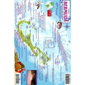  Bermuda Mini map & Reef Creatures Identification Guide 