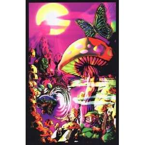  Liebermans SCO1926 MAGIC VALLEY   Blacklight   23.00 x 35 