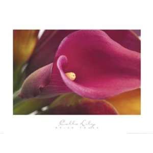 Calla Lily Brian Twede. 36.00 inches by 27.00 inches. Best Quality 