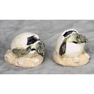    Ocean Green Sea Turtle Egg Hatchlings Replica 