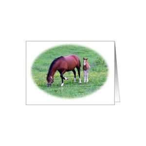  Horse Mare and foal All occasion Card Health & Personal 