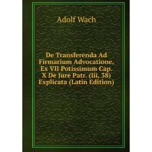   De Jure Patr. (Iii, 38) Explicata (Latin Edition) Adolf Wach Books
