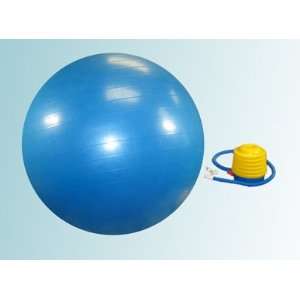  Exercise Ball / Balance Ball with Foot Pump (Medium, 65 Cm 