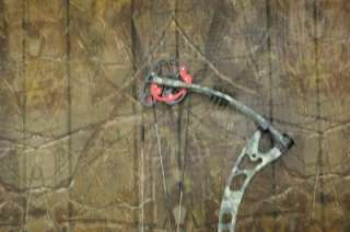 Winchester Quicksilver 34 Compound Bow RH 60#  