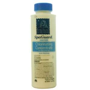  SpaGuard Chlorinating Concentrate   1 lbs