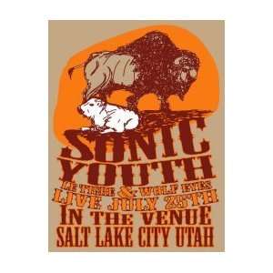  SONIC YOUTH   Limited Edition Concert Poster   by Travis 