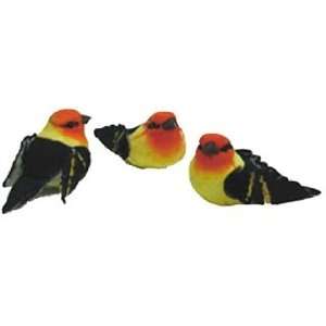   Medium Bird Warbler 2 3/4 Black/Orange/Yellow/Brown
