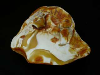 Large polished Baltic fossil amber stone  