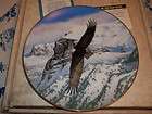 The Eagle Soars/Thomas Hirata/Majesty of Flight/America​n Bald Eagle 