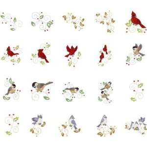  Bernina Artista Embroidery Machine Card WINTER BIRDS 