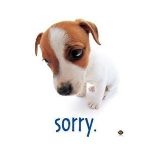  Sorry Dog Cute College Dorm Room Poster