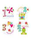 Monthly Onesie Stickers Baby GIRL fairy PRINCESS Keepsake NEW BABY MOM 
