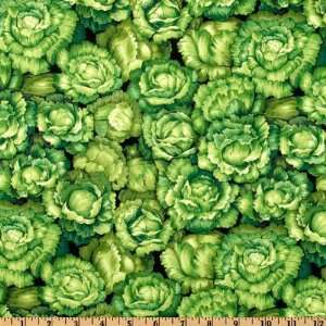  44 Wide Farmer Johns Marketplace Lettuce Green Fabric 