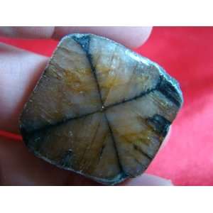  S8506 Chiastolite Immortality Andalusite Cross Polished 