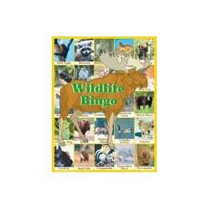 Bingo. Heres a great way for kids to learn about the wonderful world 