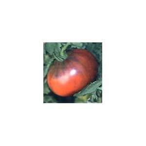  Tomato   Black From Tula Tomato Organic Heirloom Seeds 