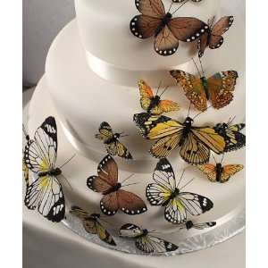 Neutral Colors Butterfly Cake Decorations   Set of 25  