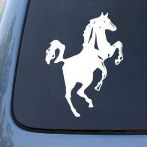 Horse Rearing Up   Car, Truck, Notebook, Vinyl Decal Sticker #2584 