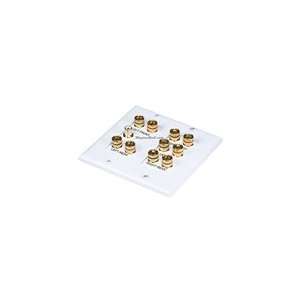  2 Group 5.1 Surround Sound Distribution Wall Plate 
