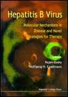 Hepatitis B Virus Molecular Mechanisms in Disease and Novel 