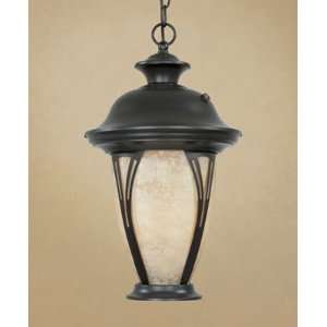 ENERGY STAR* Outdoor Hanging Light   Westchester Collection   ES30534 