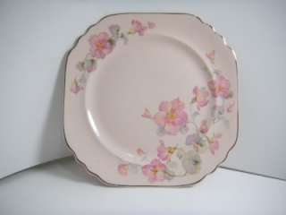 Vintage Peach  Blo ware by Limoges single plate  