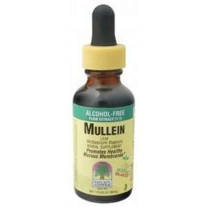  Natures Answer Mullein Leaves (alcohol free)1 OZ Health 