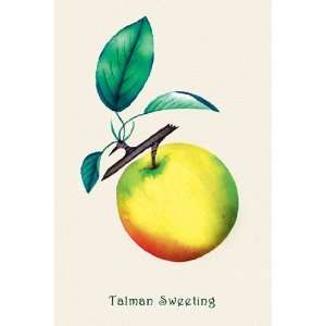  Talman Sweeting by Unknown 12x18