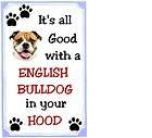 English Bull Terrier  