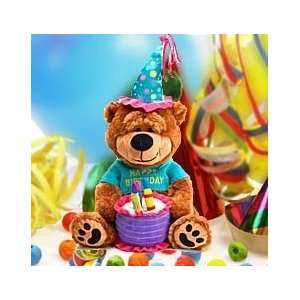 Brownie The Happy Birthday Bear 15 Grocery & Gourmet Food