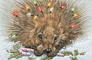 16 Boxed Embossed Christmas Cards Porcupine  
